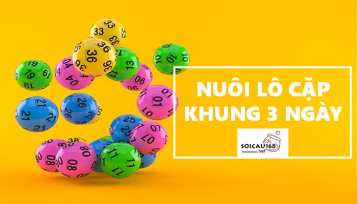 Nu&ocirc;i l&ocirc; cặp khung 3 ng&agrave;y