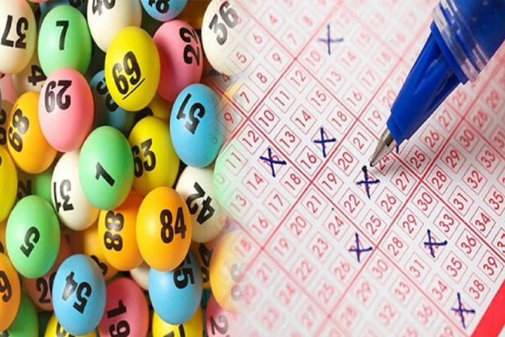 Phương ph&aacute;p nu&ocirc;i l&ocirc; k&eacute;p khung 5 ng&agrave;y dễ tr&uacute;ng